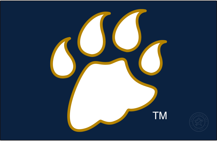 Quinnipiac Bobcats 2002-2017 Secondary Logo v3 diy iron on heat transfer